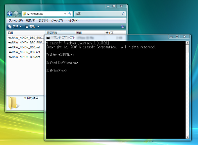 図14 コマンドプロンプトにドライブレター（ここでは「D:」）と入力し、RAWファイルがあるフォルダをカレントディレクトリにする