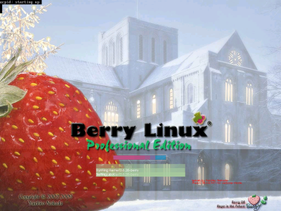 Berry Linuxのブート画面